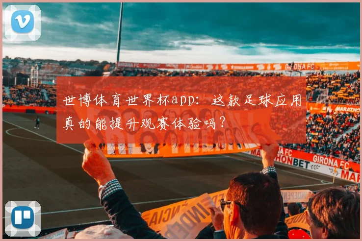 世博体育世界杯app:这款足球应用真的能提升观赛体验吗?