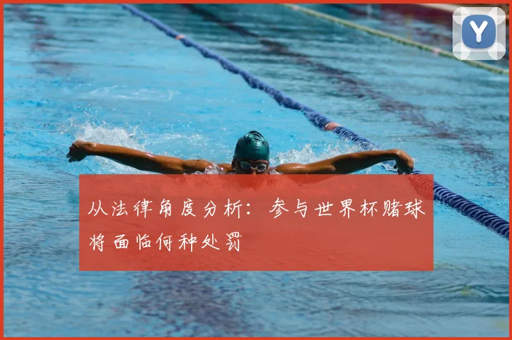 从法律角度分析:参与世界杯赌球将面临何种处罚