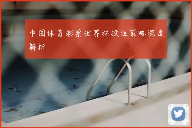中国体育彩票世界杯投注策略深度解析
